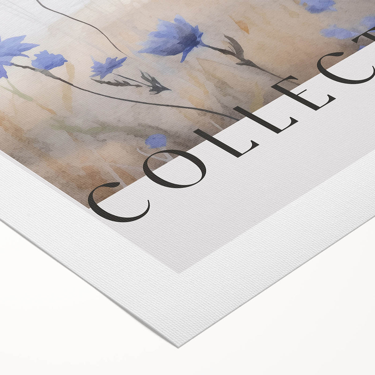 Wildflower Collection – Elegant Minimalist Botanical Art for Modern Decor