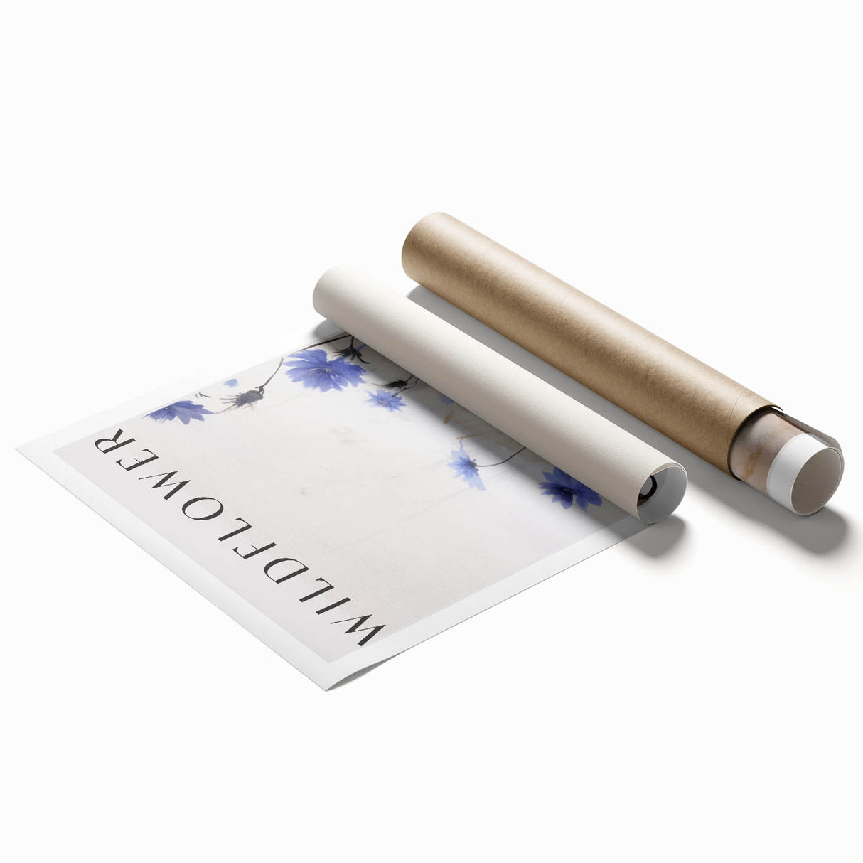 Wildflower Collection – Elegant Minimalist Botanical Art for Modern Decor