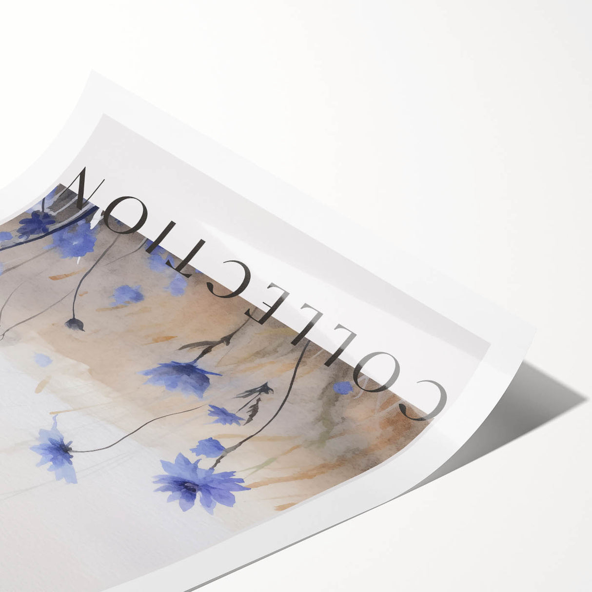 Wildflower Collection – Elegant Minimalist Botanical Art for Modern Decor