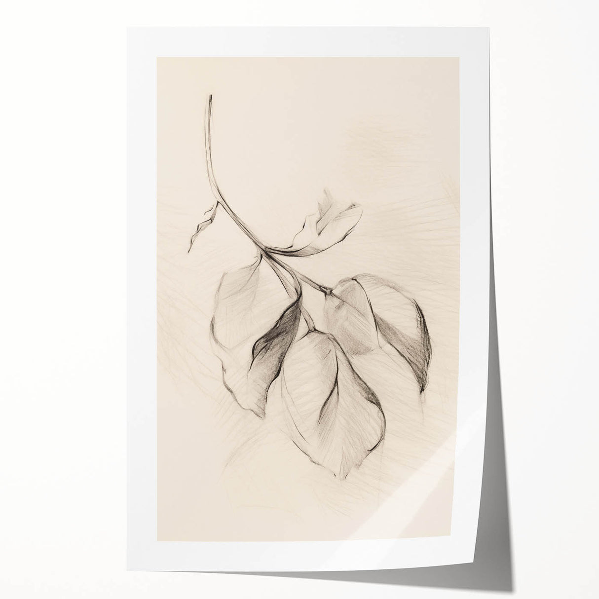 Minimalist Leaf Sketch – Modern Line Art for Clean and Simple Decor