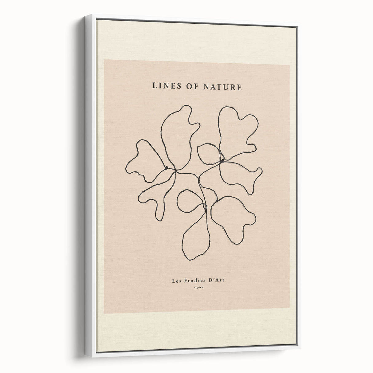 Minimalist Nature Line Art – Abstract Botanical Design for Modern Decor