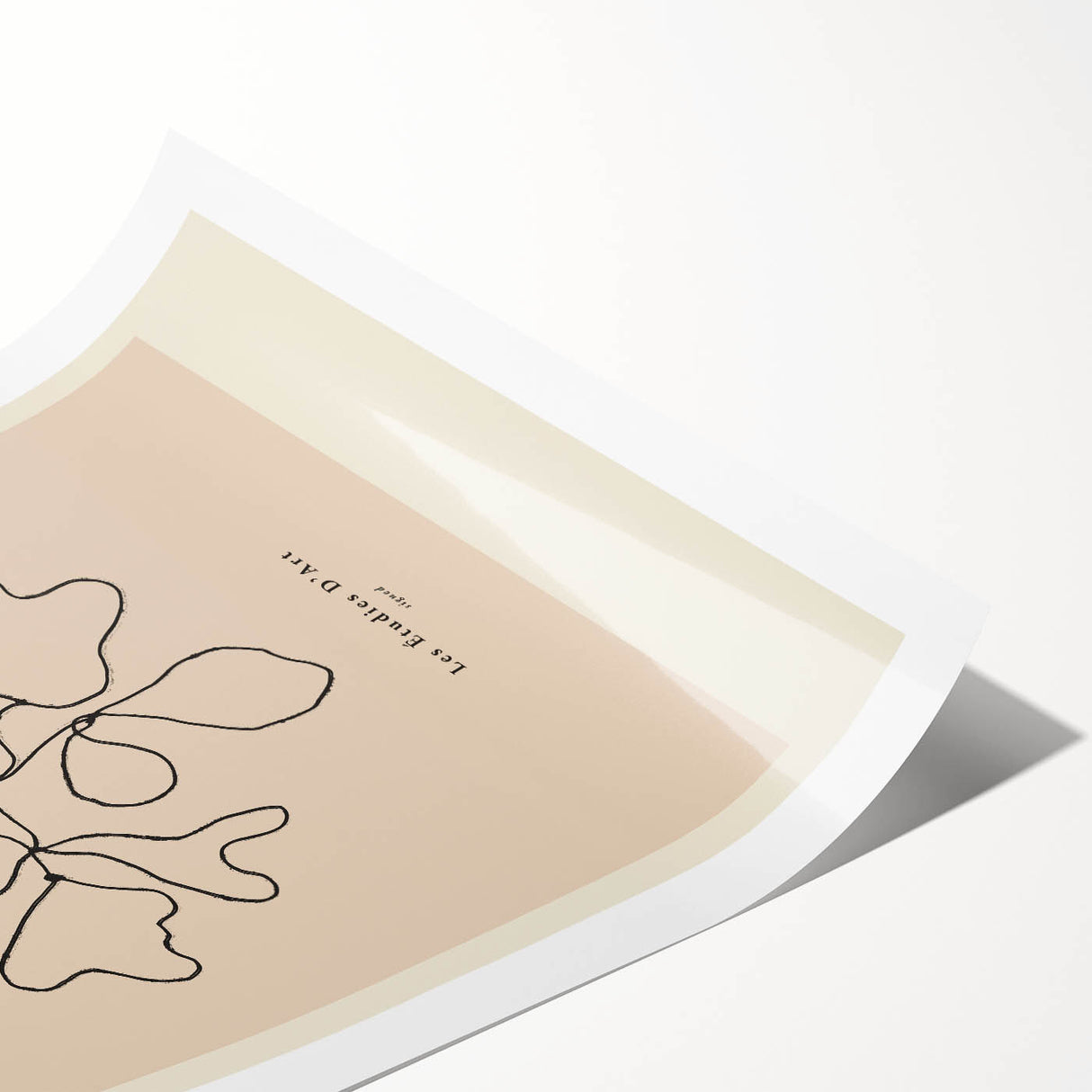 Minimalist Nature Line Art – Abstract Botanical Design for Modern Decor