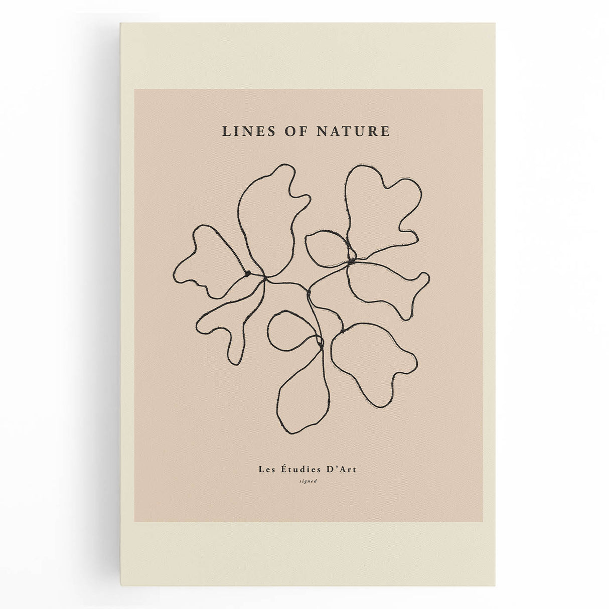 Minimalist Nature Line Art – Abstract Botanical Design for Modern Decor