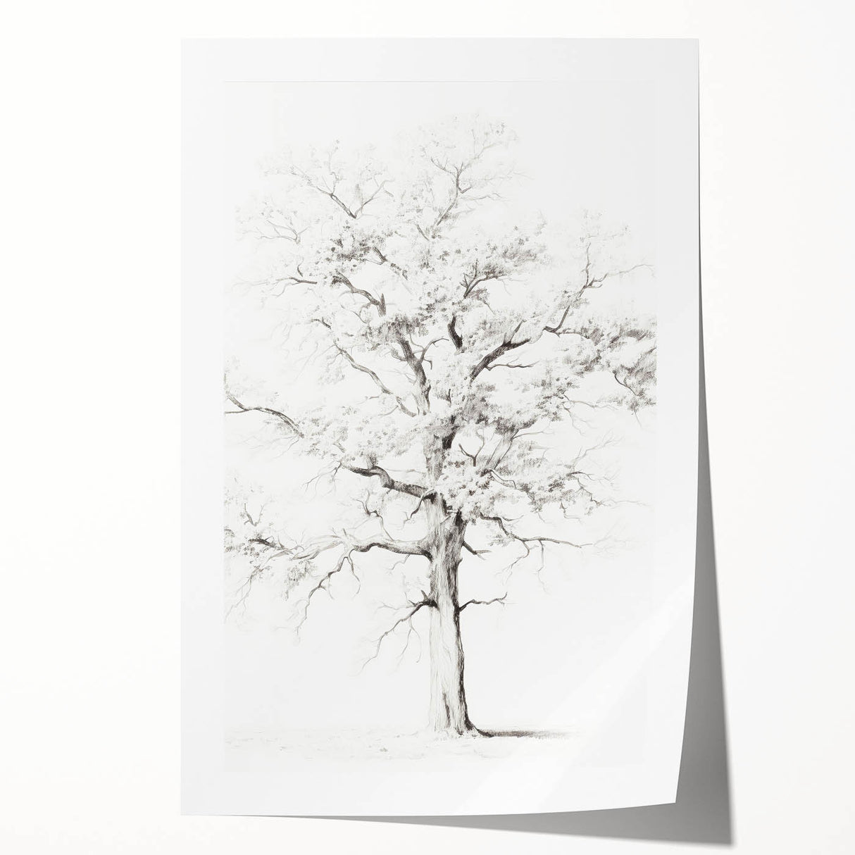 Minimalist Tree Drawing – Black and White Nature-Inspired Wall Art