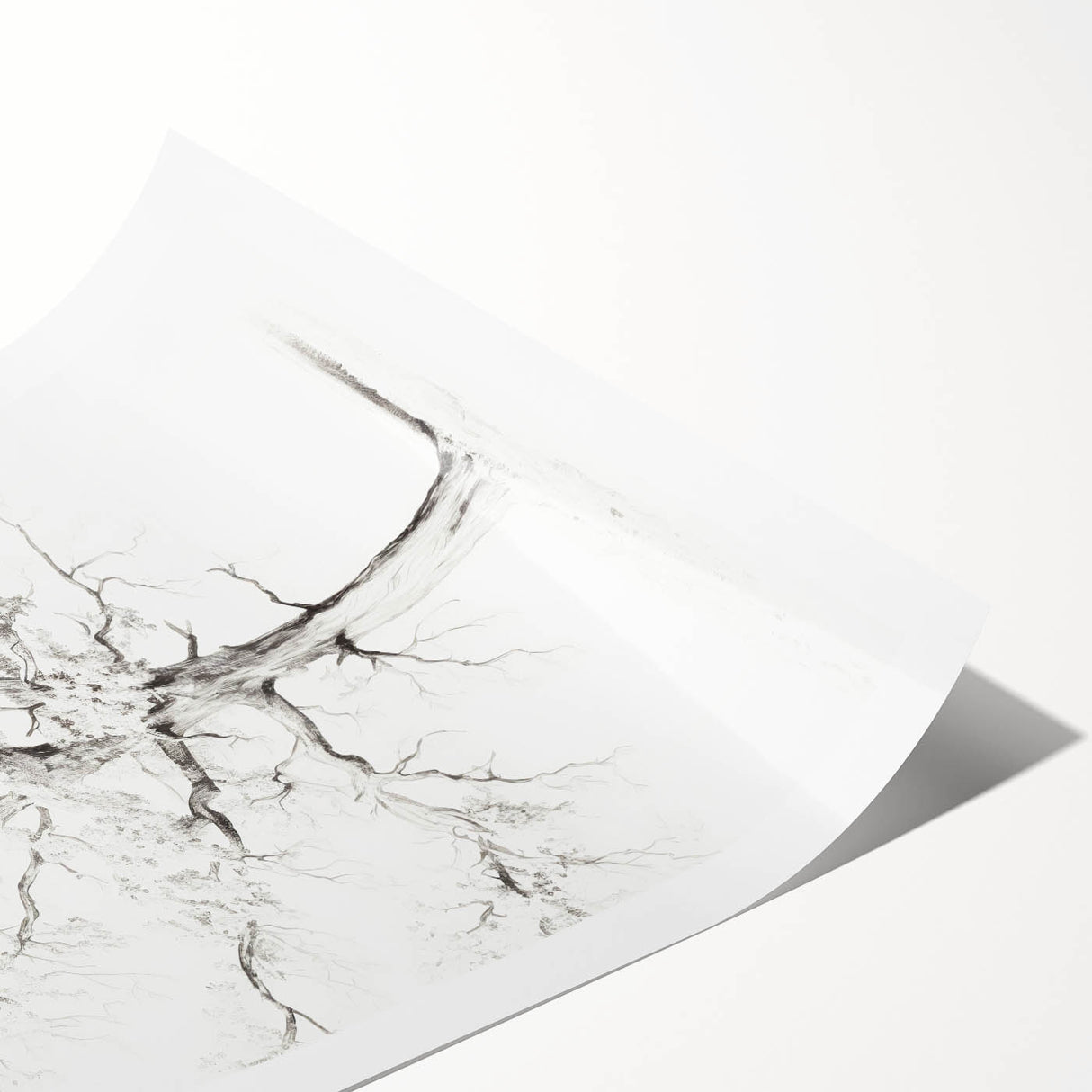 Minimalist Tree Drawing – Black and White Nature-Inspired Wall Art