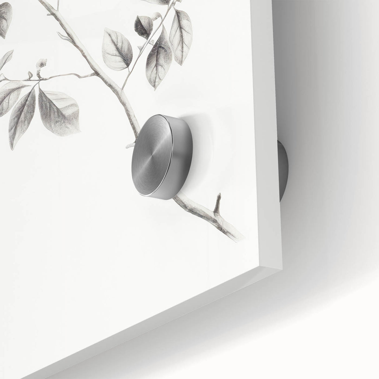 Minimalist Leaf Sketch – Elegant Pencil Drawing of a Branch