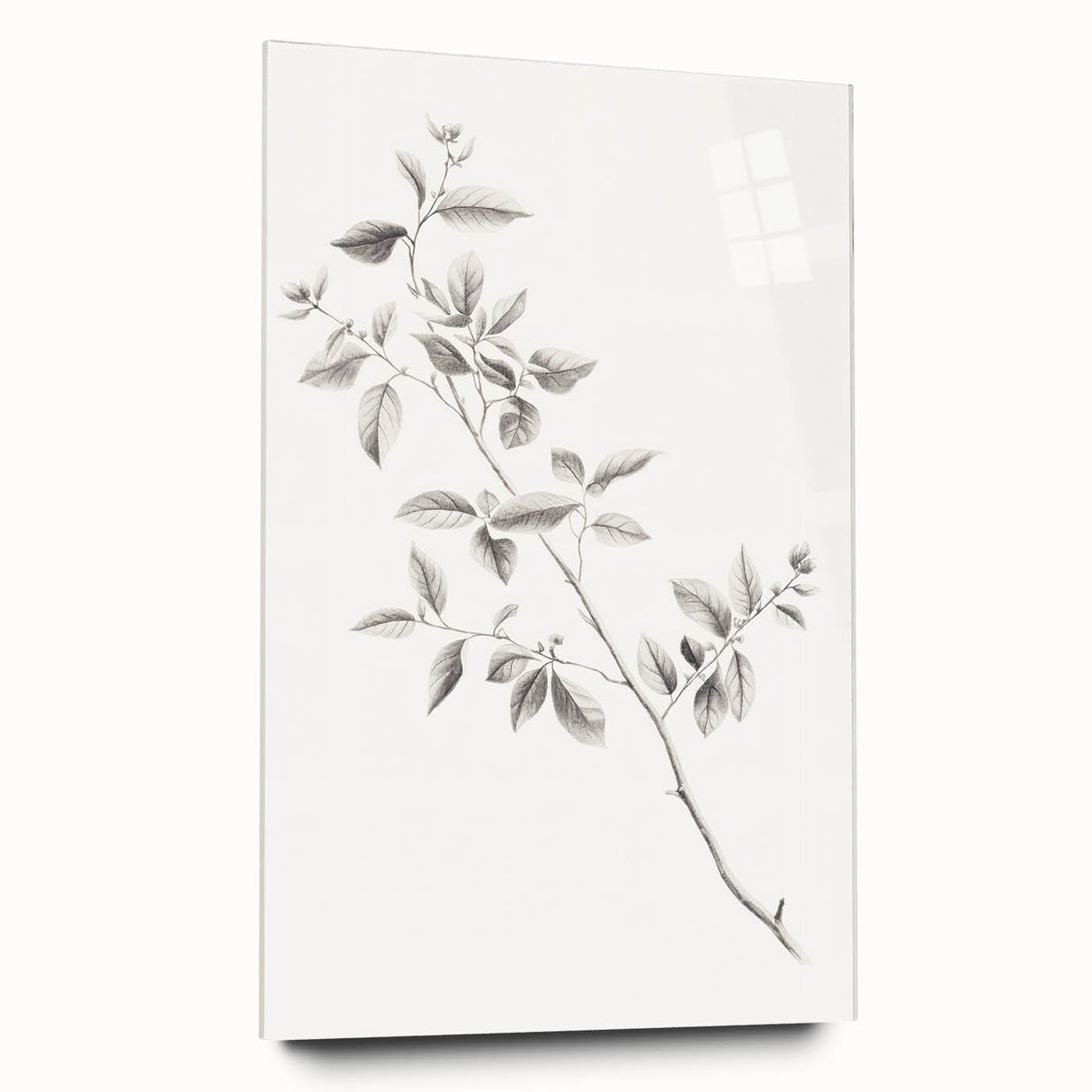 Minimalist Leaf Sketch – Elegant Pencil Drawing of a Branch