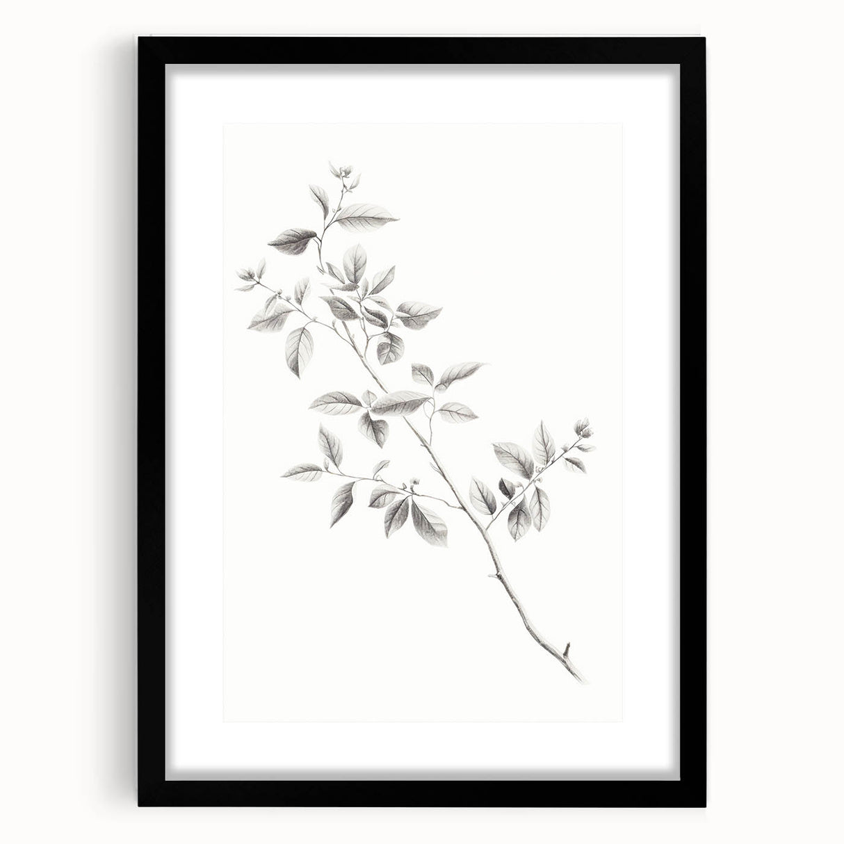 Minimalist Leaf Sketch – Elegant Pencil Drawing of a Branch