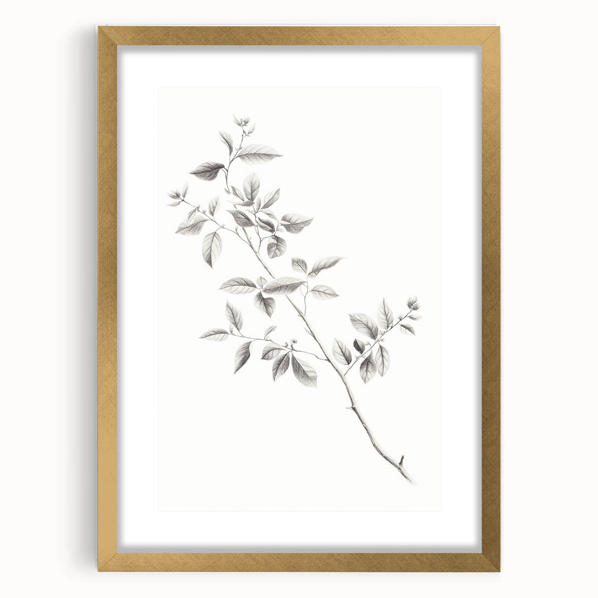 Minimalist Leaf Sketch – Elegant Pencil Drawing of a Branch