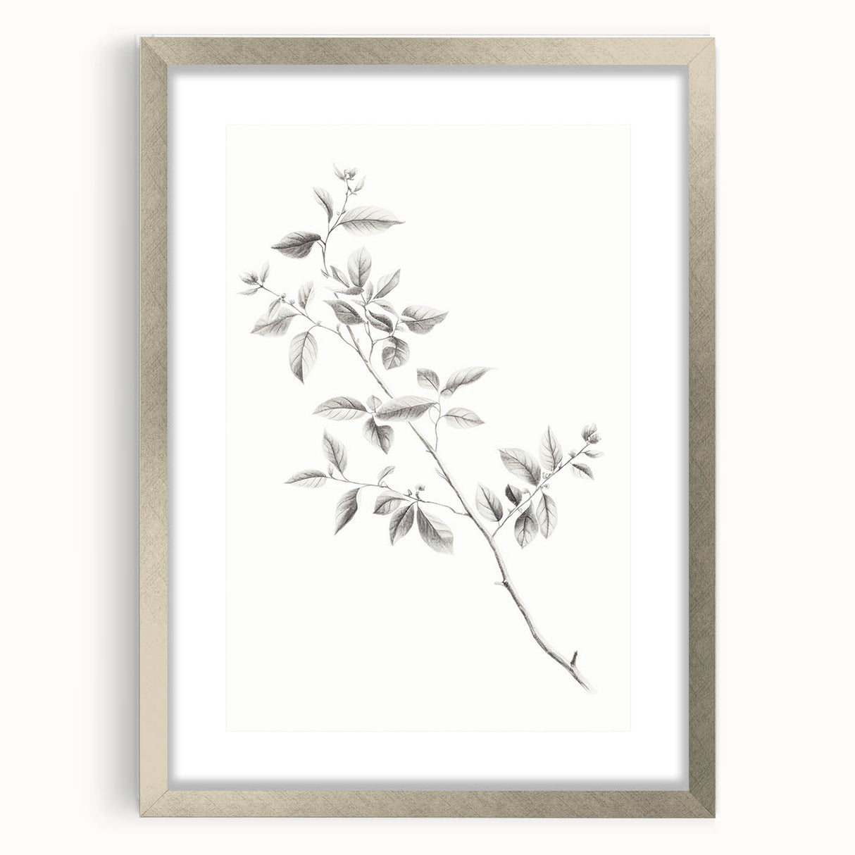 Minimalist Leaf Sketch – Elegant Pencil Drawing of a Branch