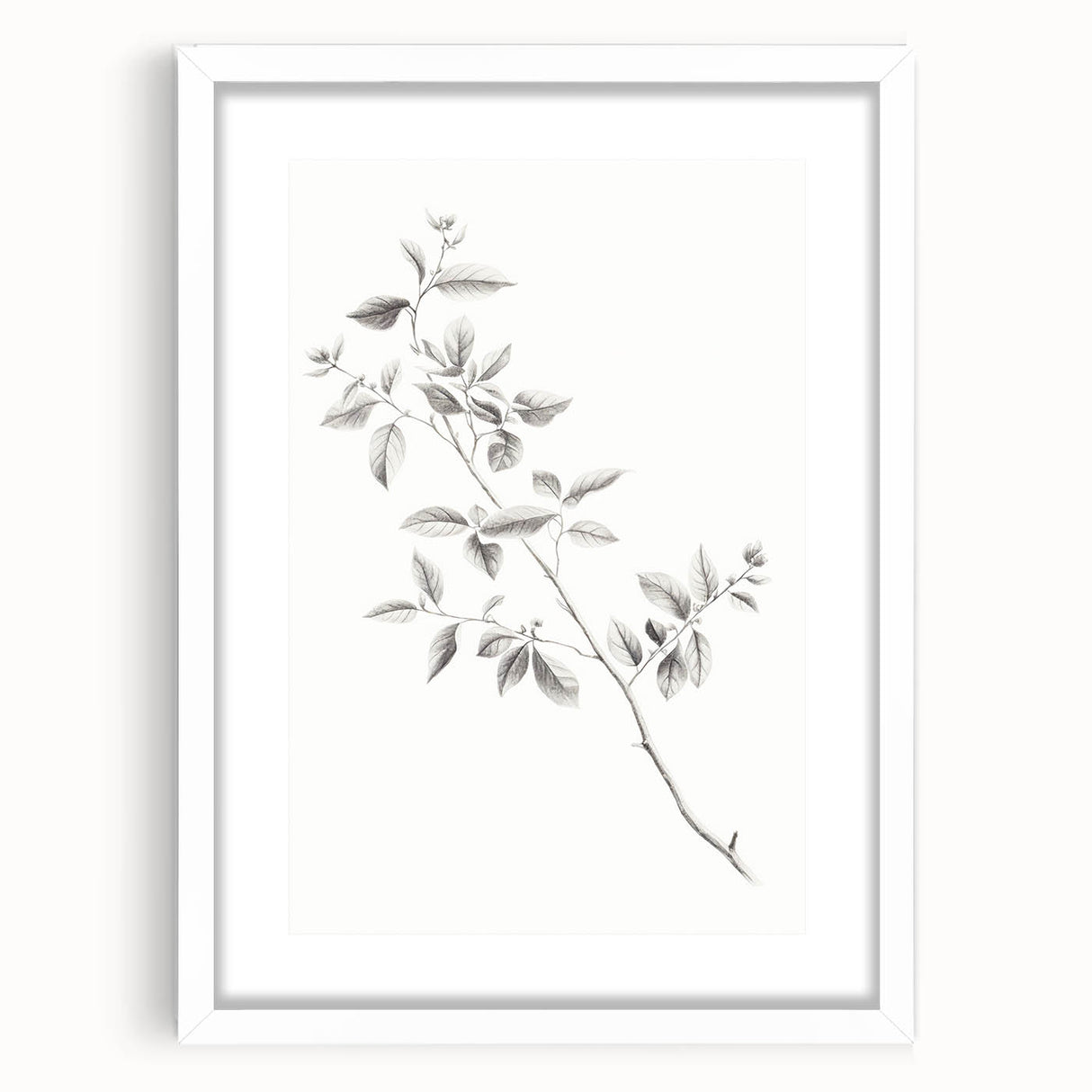 Minimalist Leaf Sketch – Elegant Pencil Drawing of a Branch