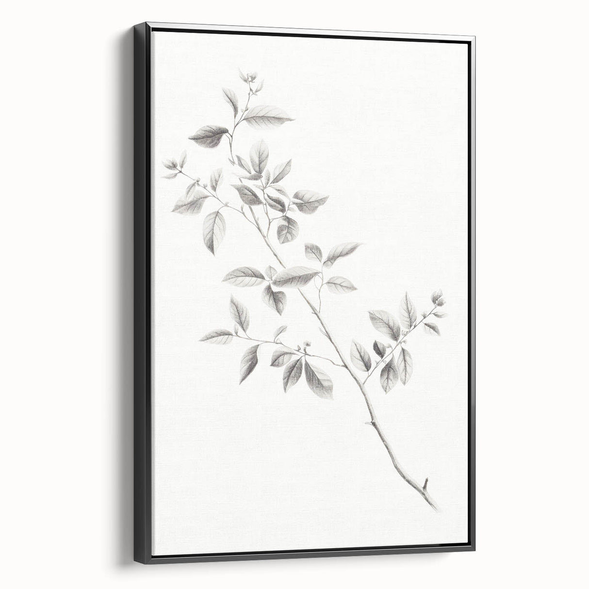 Minimalist Leaf Sketch – Elegant Pencil Drawing of a Branch