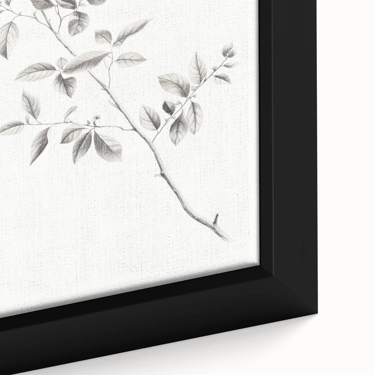 Minimalist Leaf Sketch – Elegant Pencil Drawing of a Branch