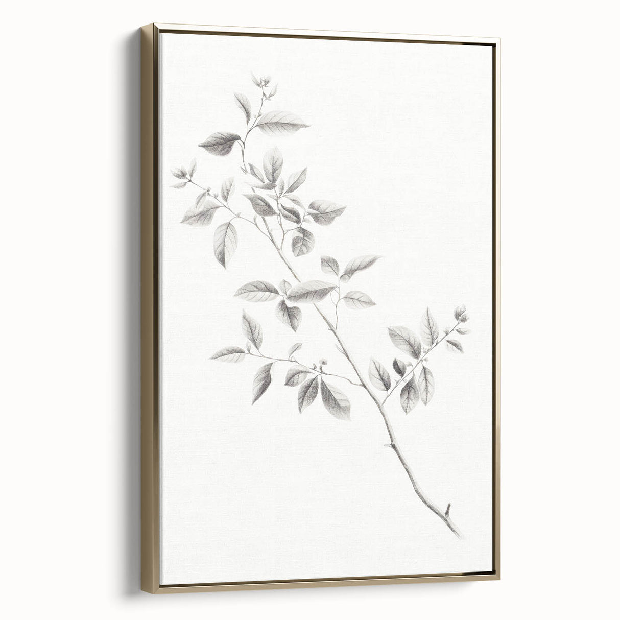 Minimalist Leaf Sketch – Elegant Pencil Drawing of a Branch
