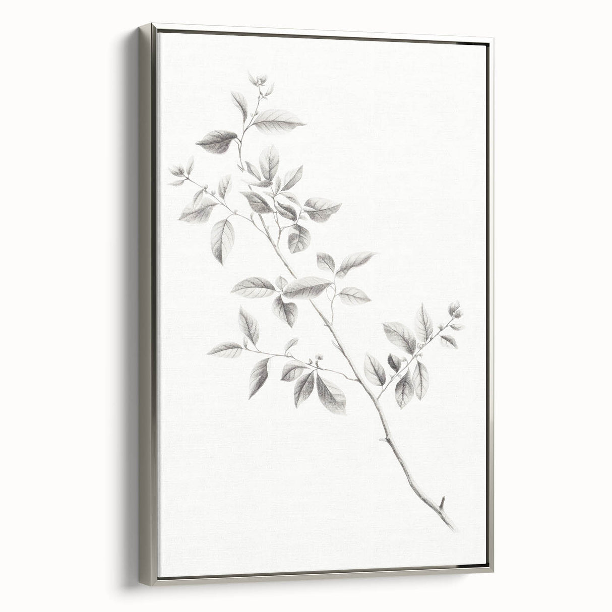 Minimalist Leaf Sketch – Elegant Pencil Drawing of a Branch
