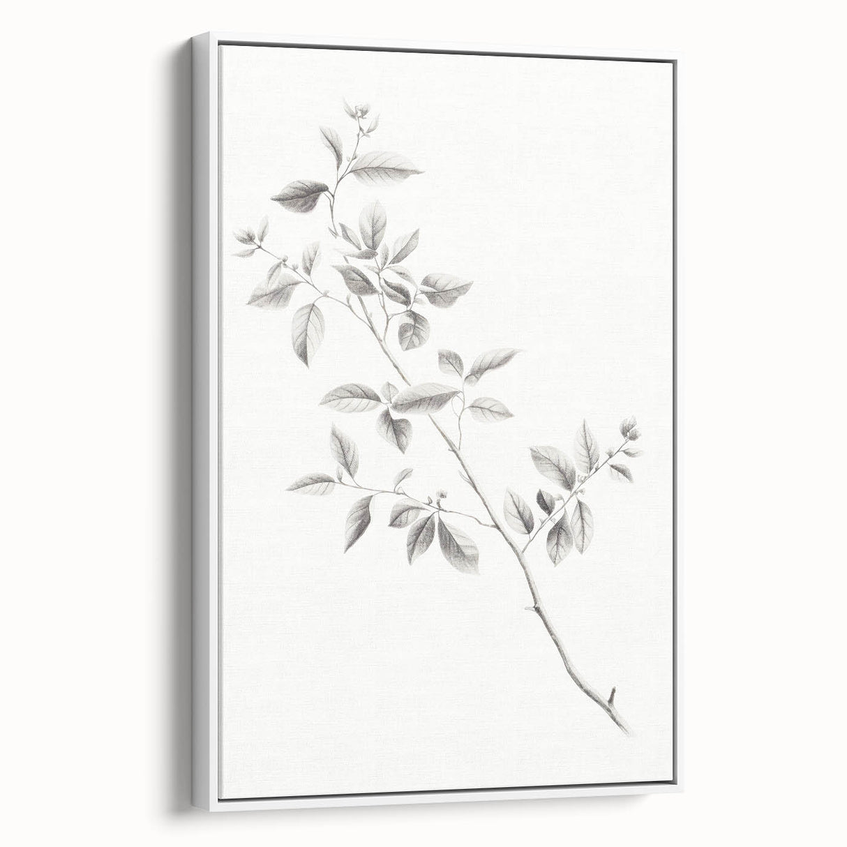 Minimalist Leaf Sketch – Elegant Pencil Drawing of a Branch