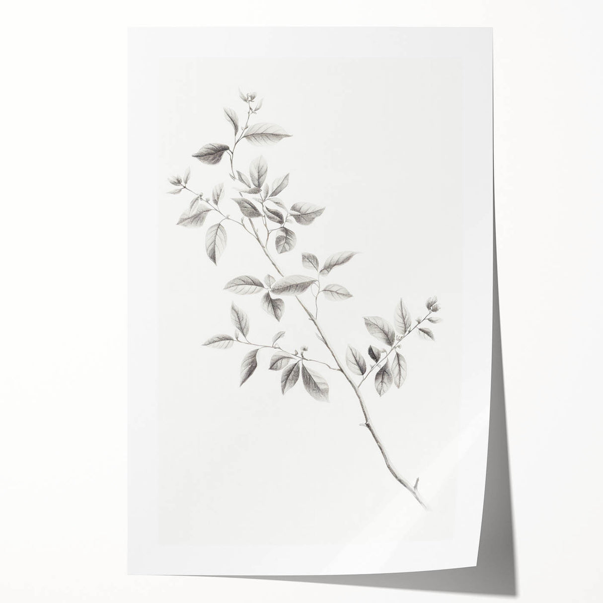 Minimalist Leaf Sketch – Elegant Pencil Drawing of a Branch