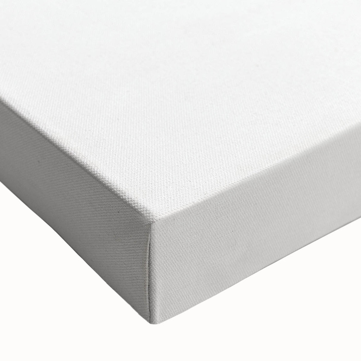 Minimalist Leaf Sketch – Elegant Pencil Drawing of a Branch