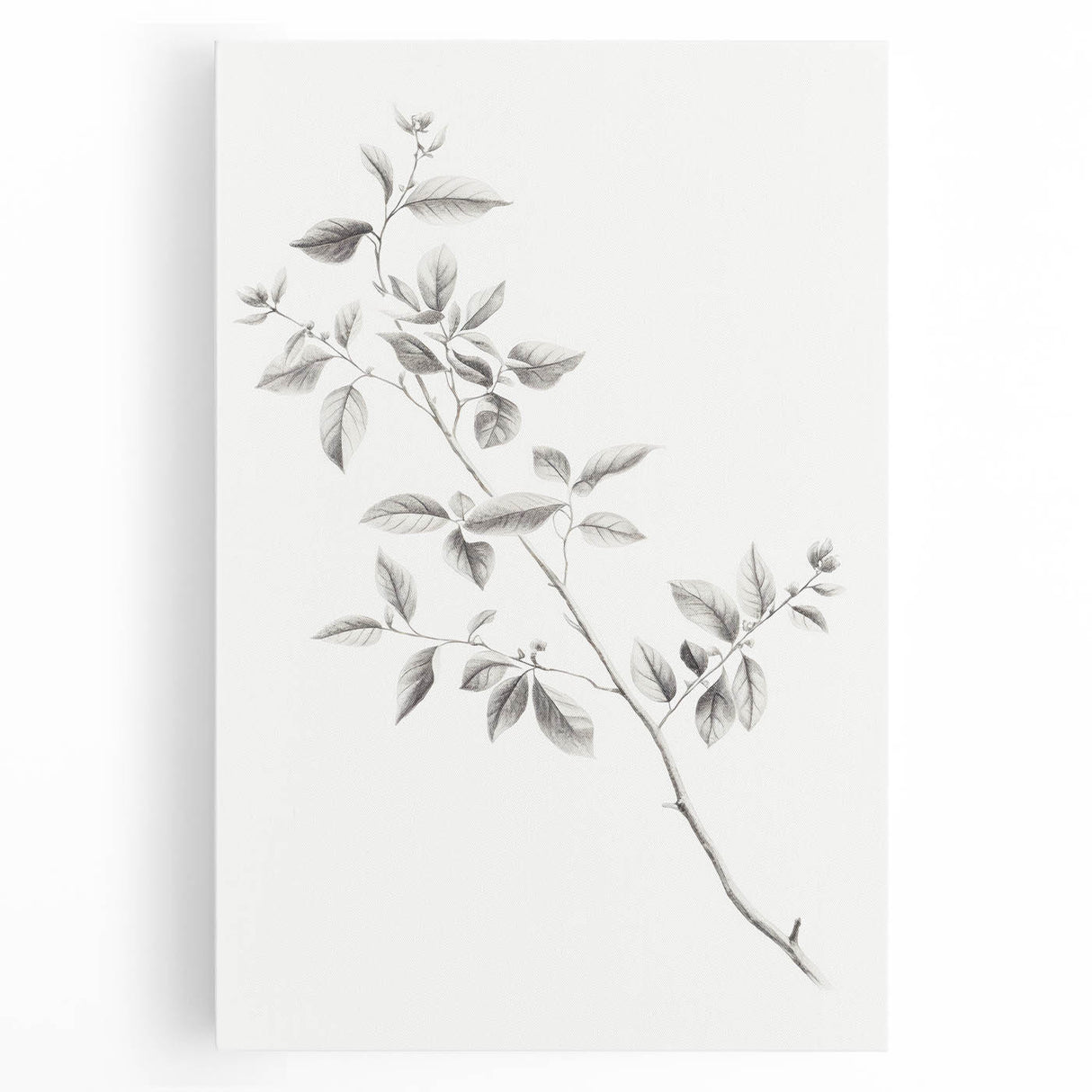 Minimalist Leaf Sketch – Elegant Pencil Drawing of a Branch
