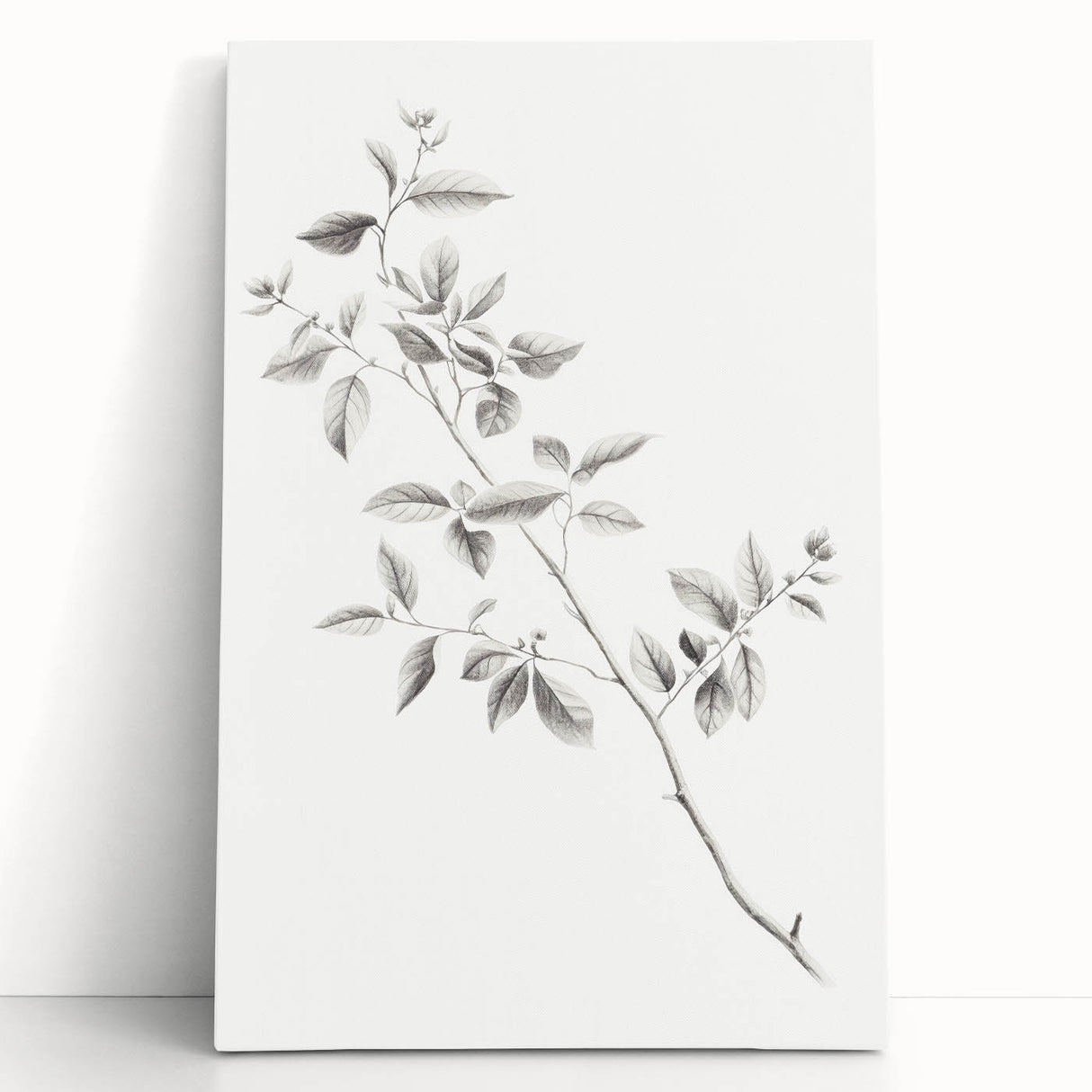 Minimalist Leaf Sketch – Elegant Pencil Drawing of a Branch