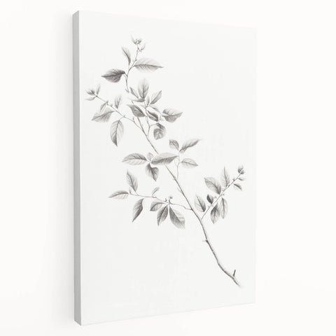 Minimalist Leaf Sketch – Elegant Pencil Drawing of a Branch