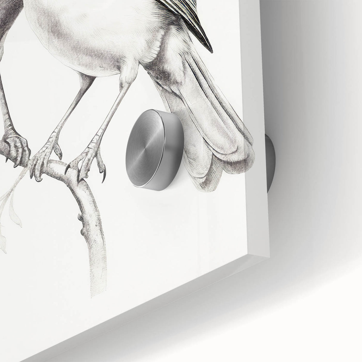 Minimalist Bird Sketch – Elegant Pencil Drawing of Two Birds on a Branch