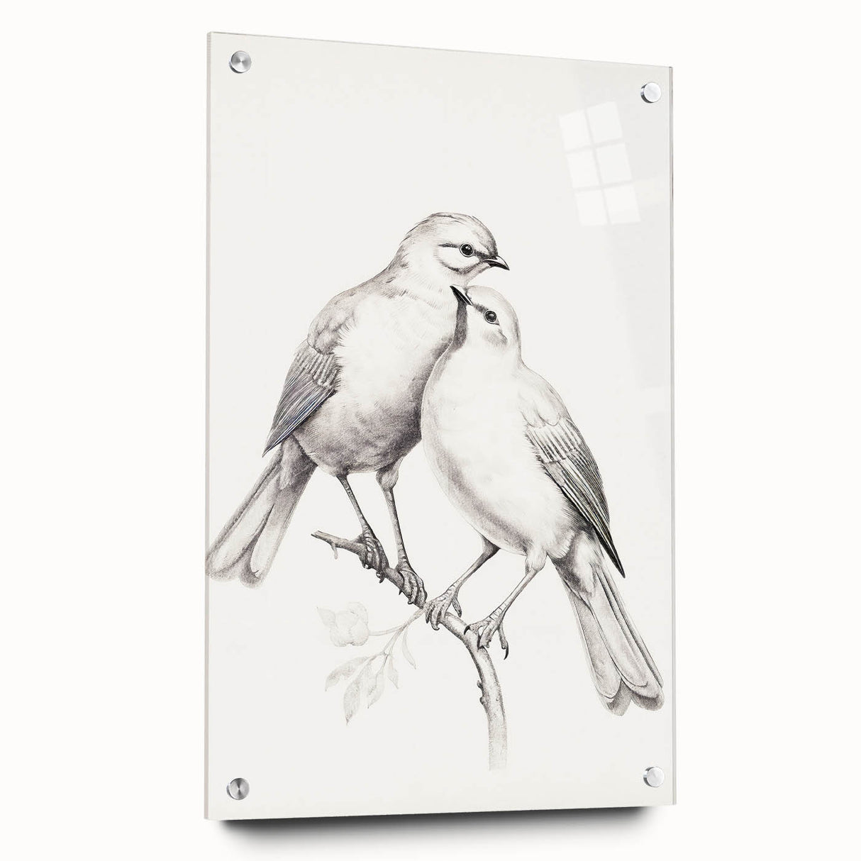 Minimalist Bird Sketch – Elegant Pencil Drawing of Two Birds on a Branch