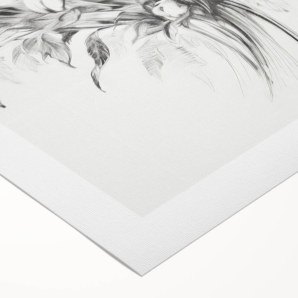 Minimalist Floral Sketch – Detailed Pencil Drawing of Flowers