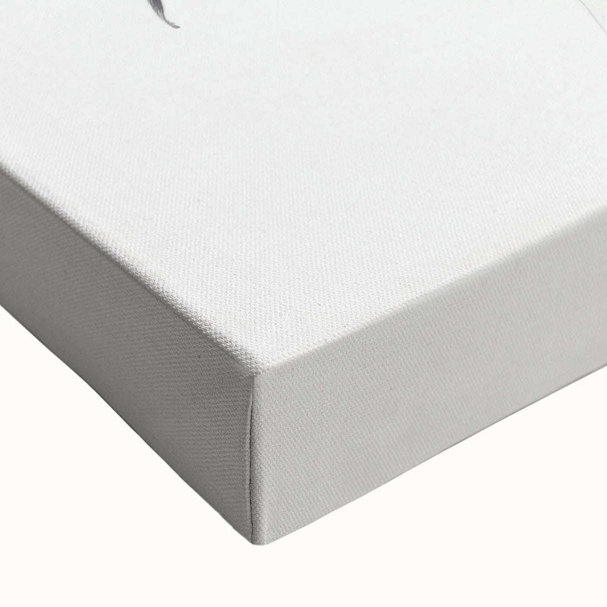 Minimalist Floral Sketch – Detailed Pencil Drawing of Flowers