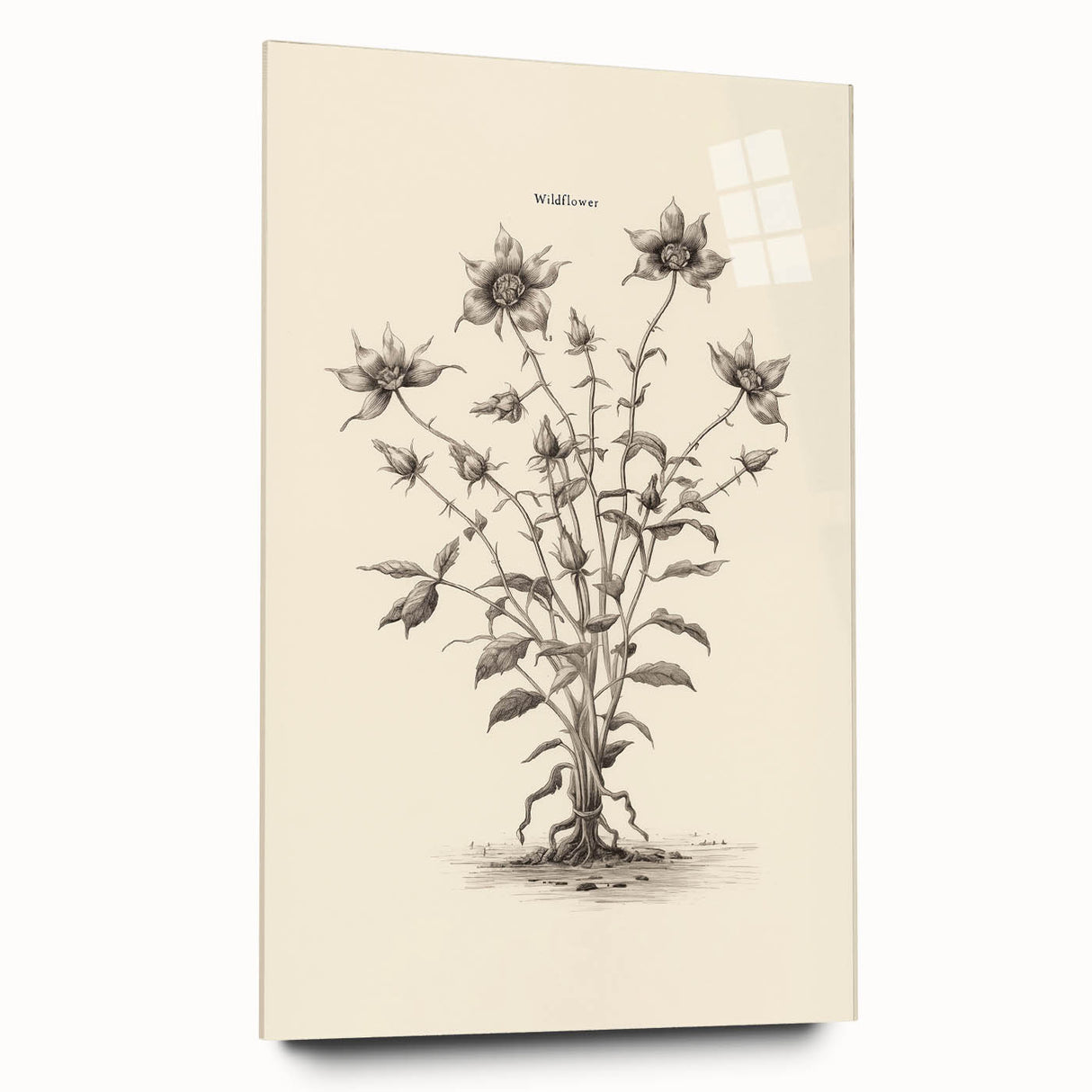 Minimalist Wall Art – Botanical Wildflower Sketch for Simple Home Decor