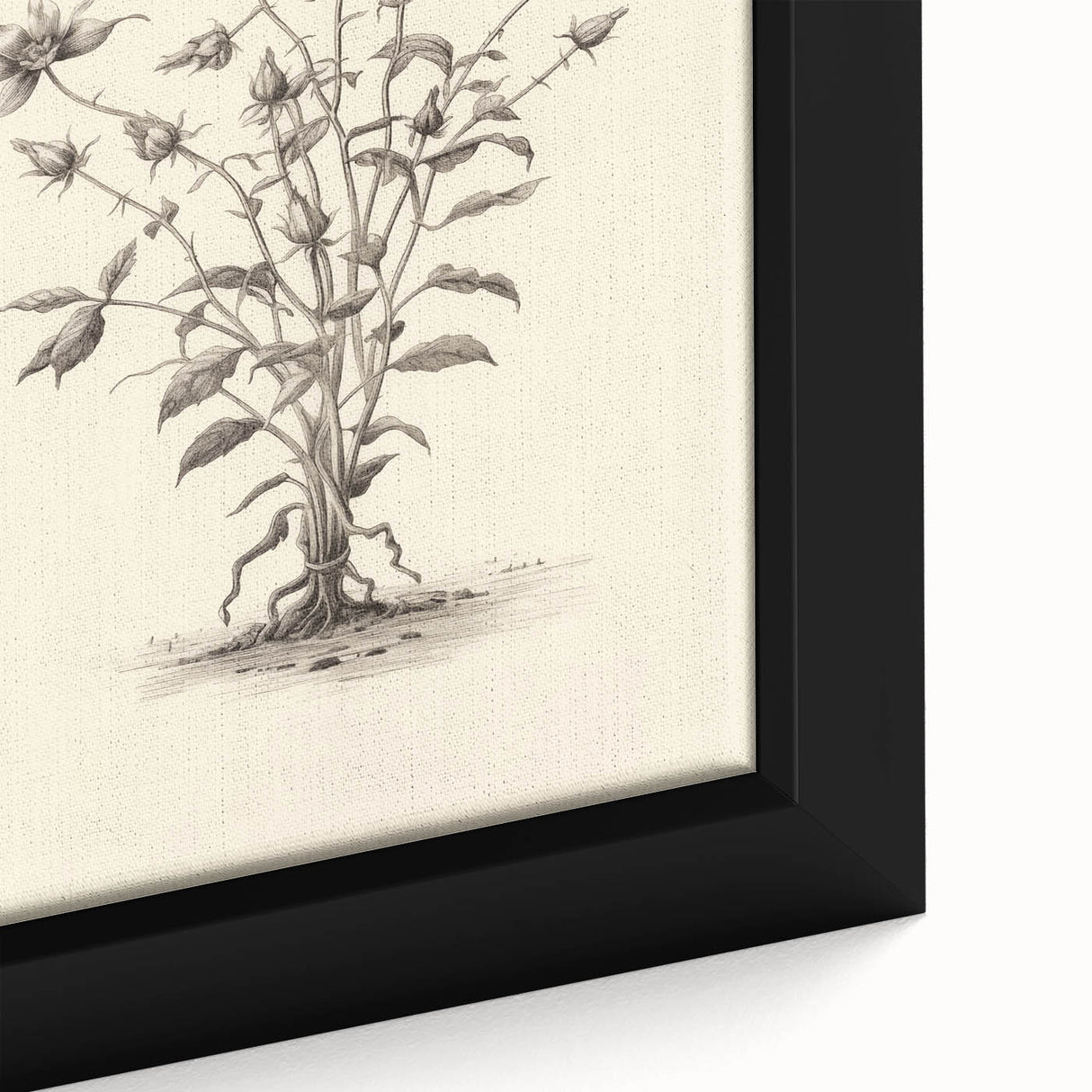Minimalist Wall Art – Botanical Wildflower Sketch for Simple Home Decor