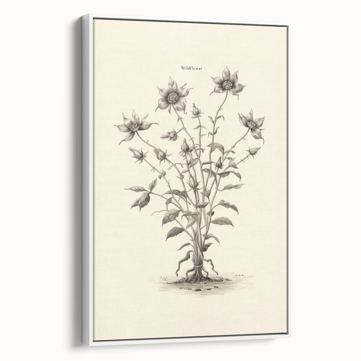 Minimalist Wall Art – Botanical Wildflower Sketch for Simple Home Decor