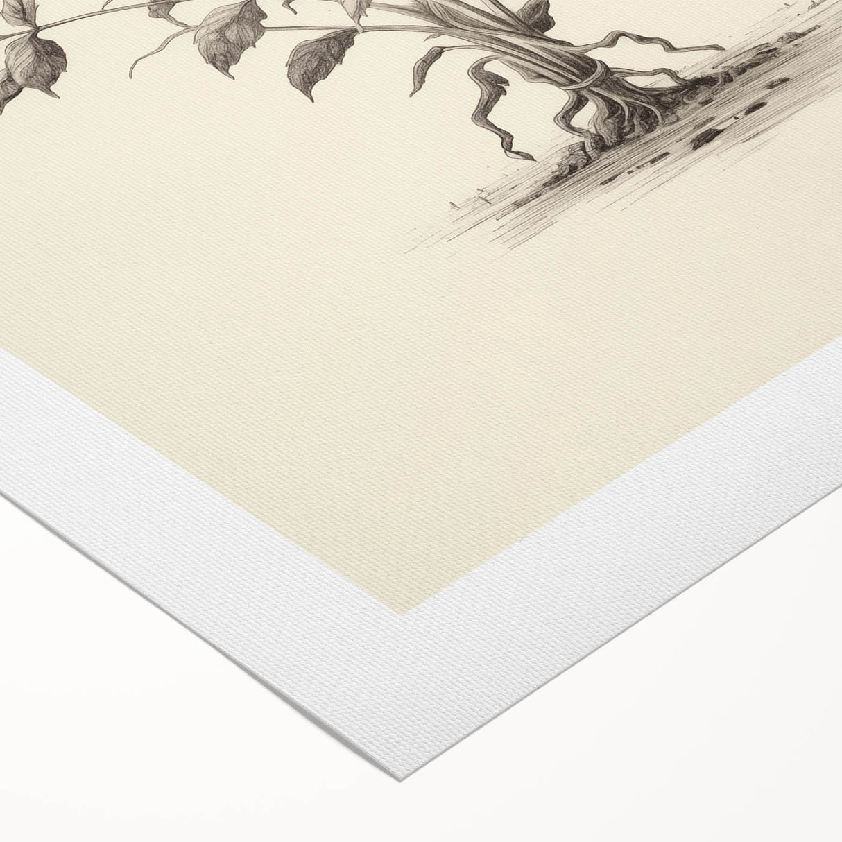 Minimalist Wall Art – Botanical Wildflower Sketch for Simple Home Decor