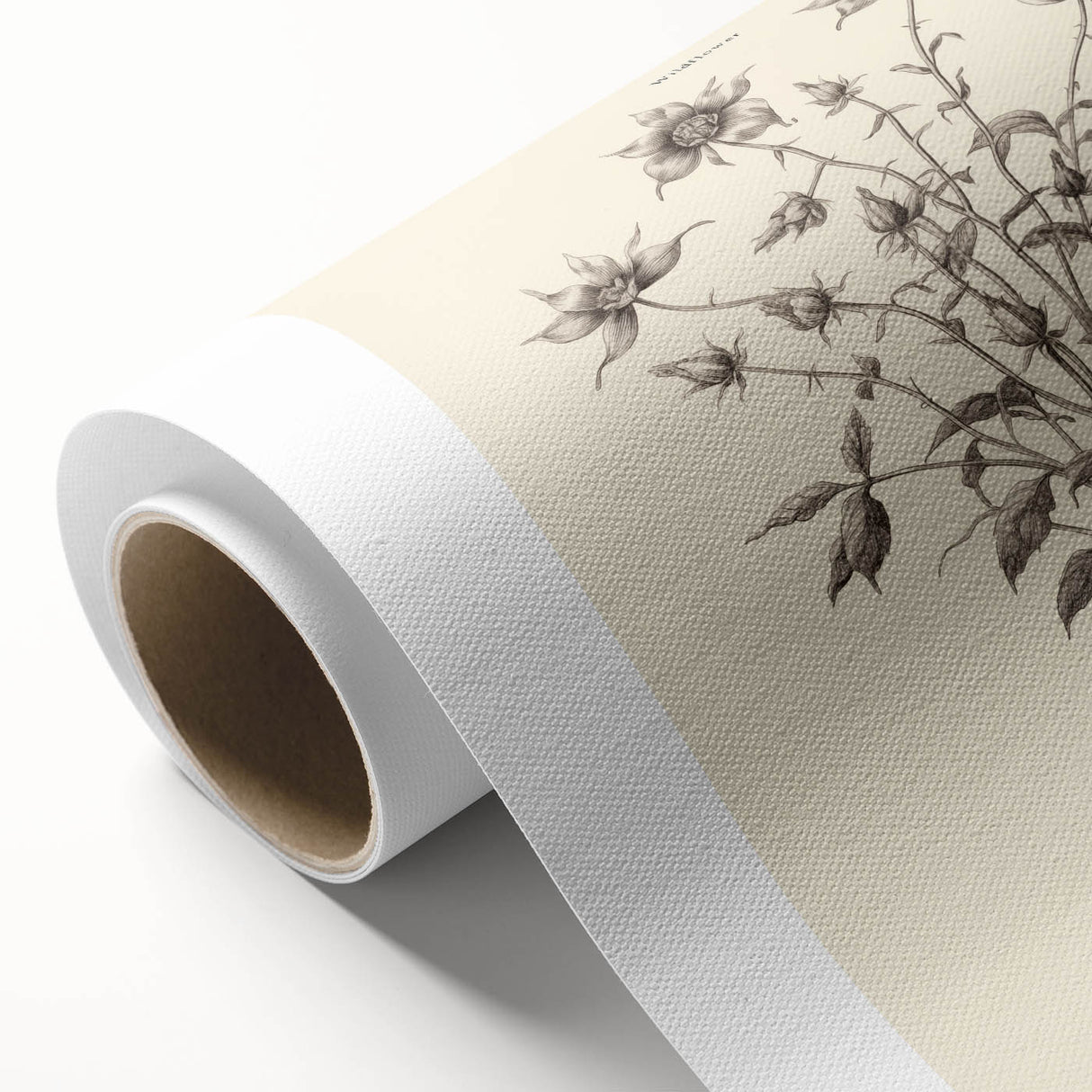 Minimalist Wall Art – Botanical Wildflower Sketch for Simple Home Decor