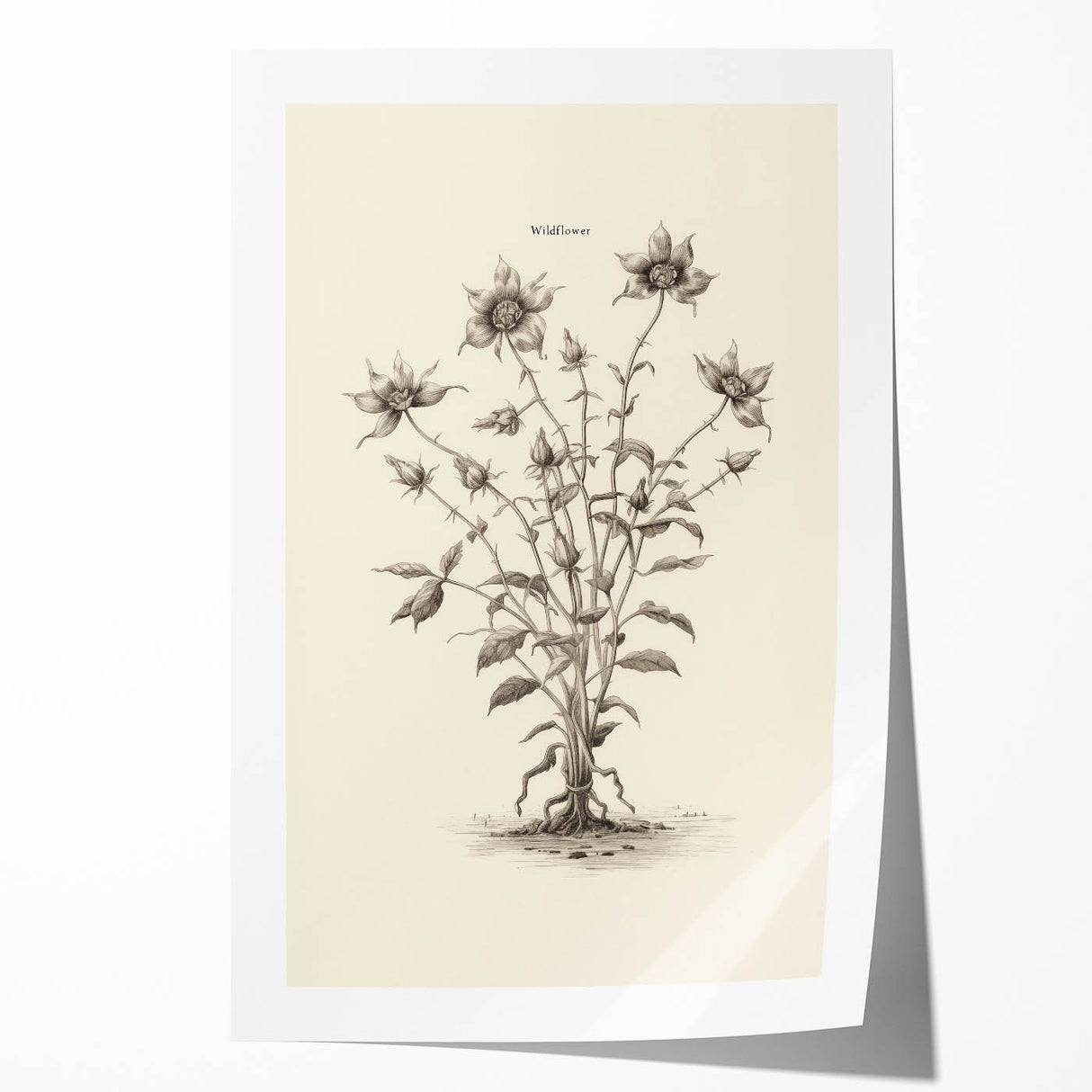 Minimalist Wall Art – Botanical Wildflower Sketch for Simple Home Decor
