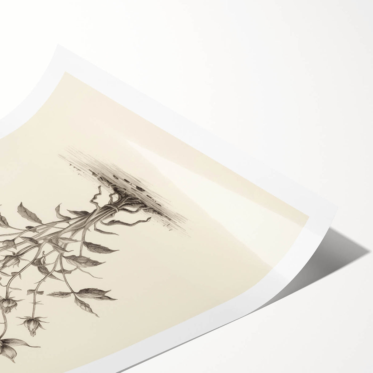 Minimalist Wall Art – Botanical Wildflower Sketch for Simple Home Decor