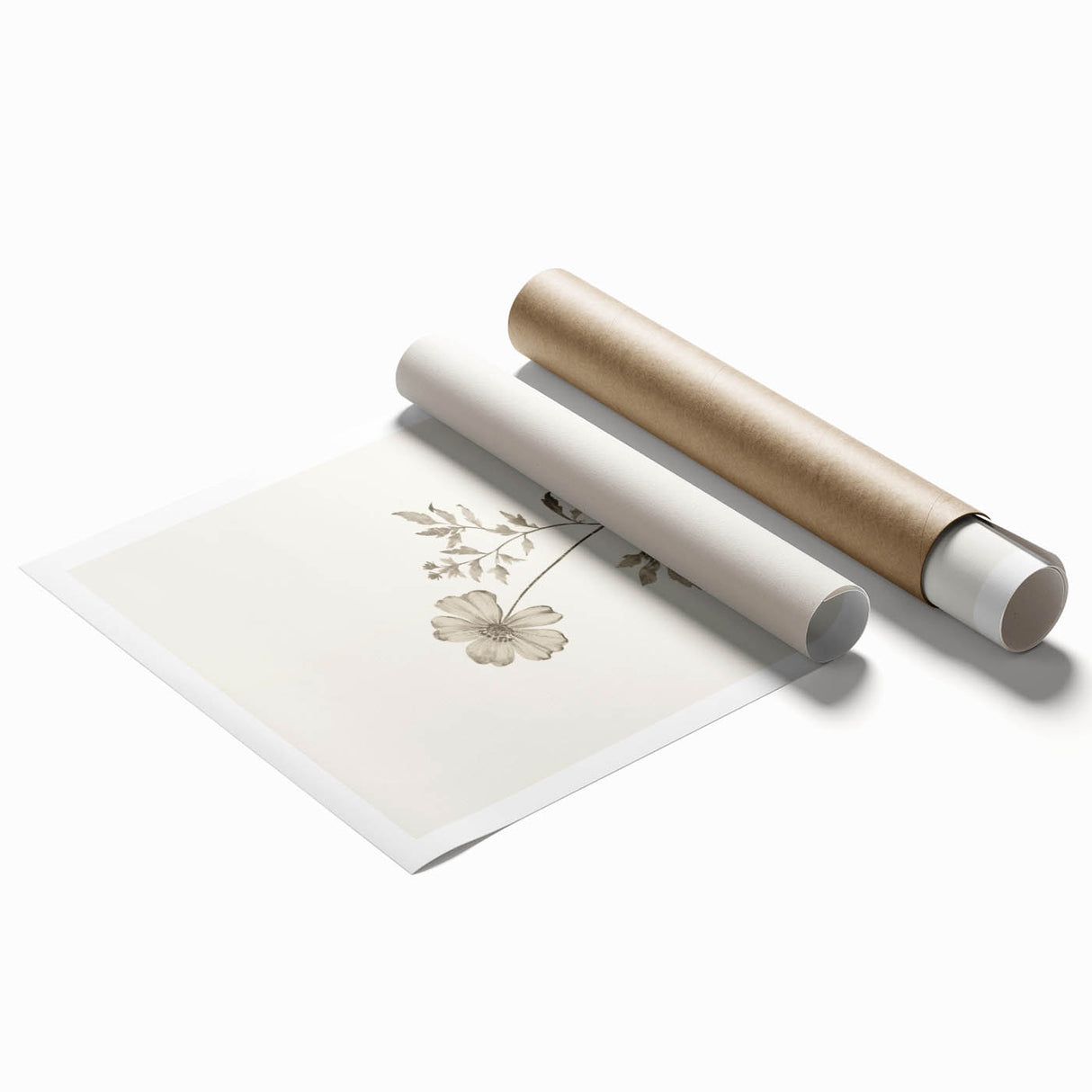 Minimalist Wall Art – Delicate Botanical Flower Sketch for Modern Decor