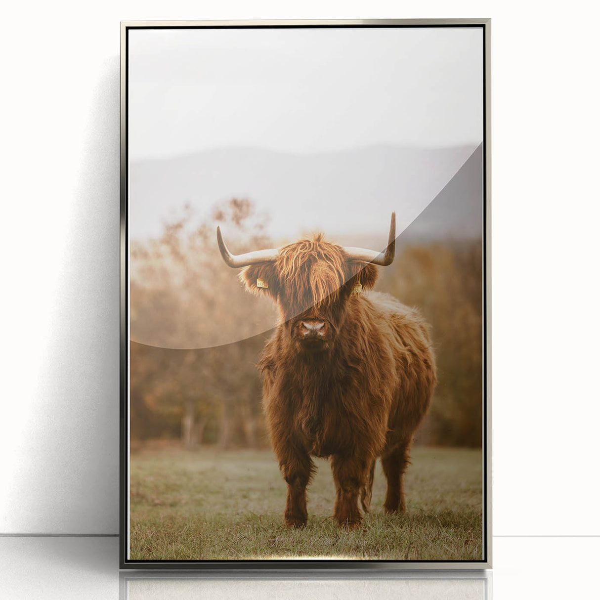 Rustic Wall Art - Highland Cow in Pasture for Farmhouse Nature Decor