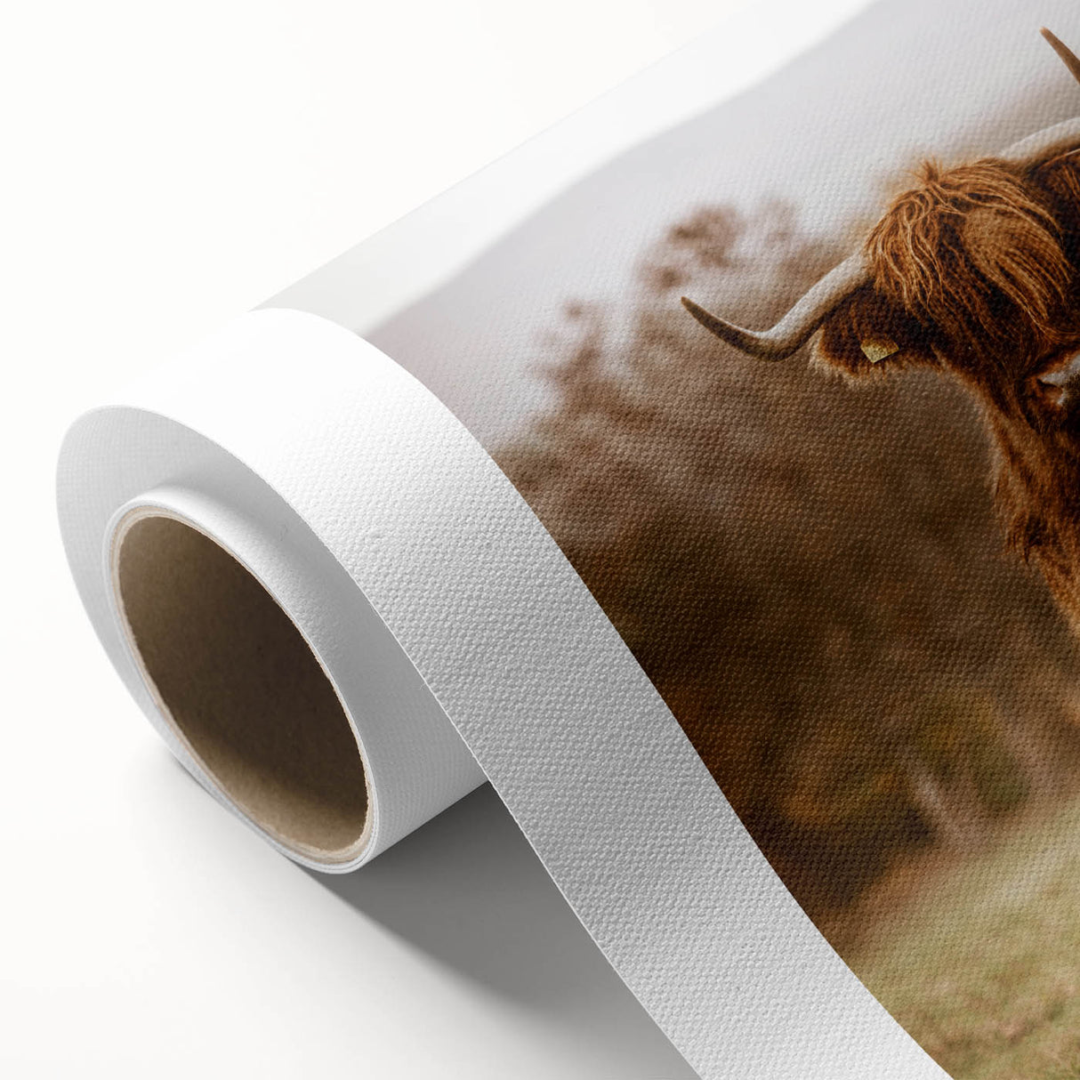 Rustic Wall Art - Highland Cow in Pasture for Farmhouse Nature Decor