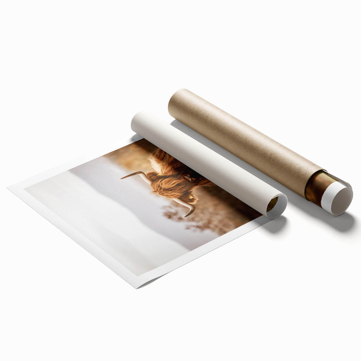 Rustic Wall Art - Highland Cow in Pasture for Farmhouse Nature Decor