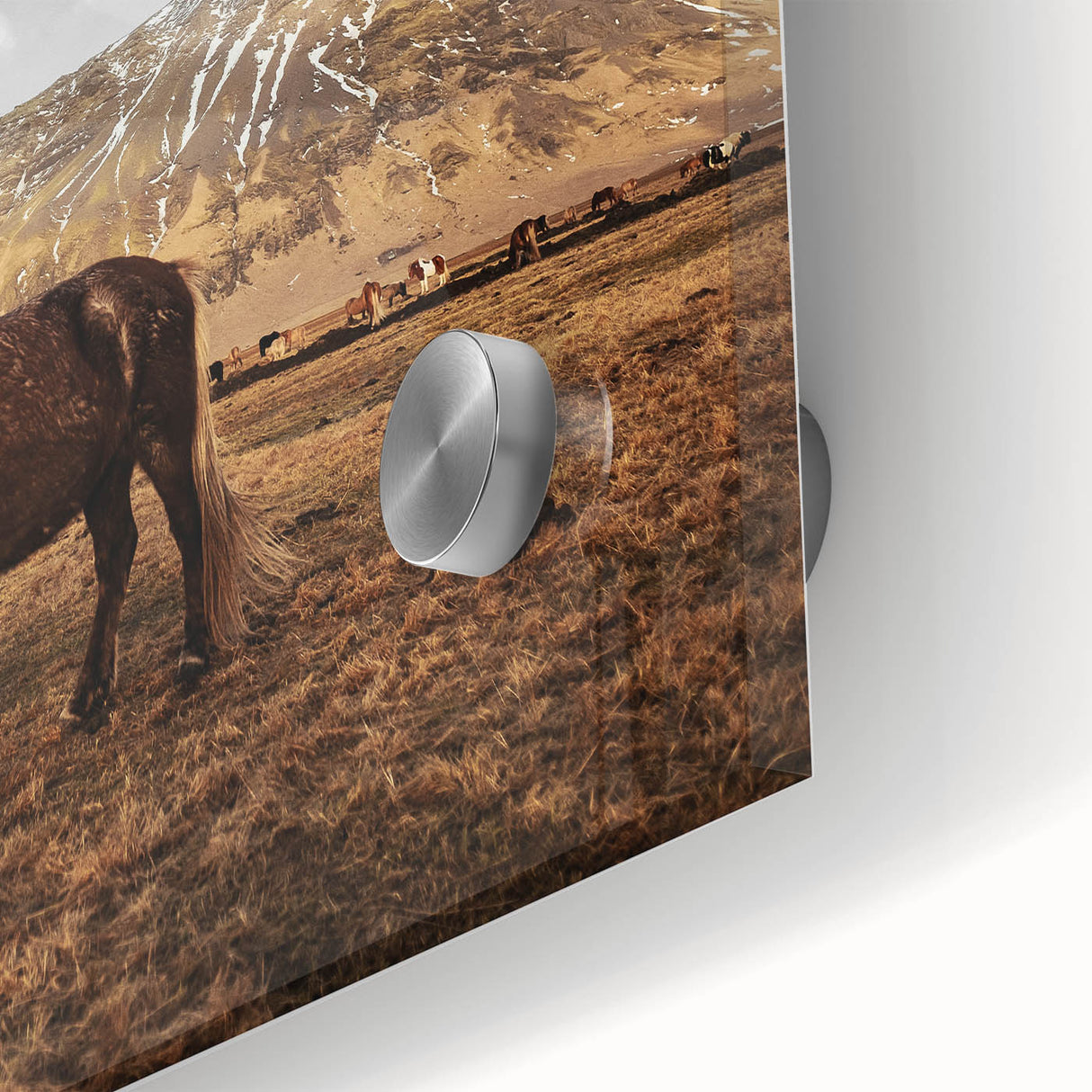 Rustic Wall Art - Wild Horse in Mountain Landscape for Farmhouse Decor