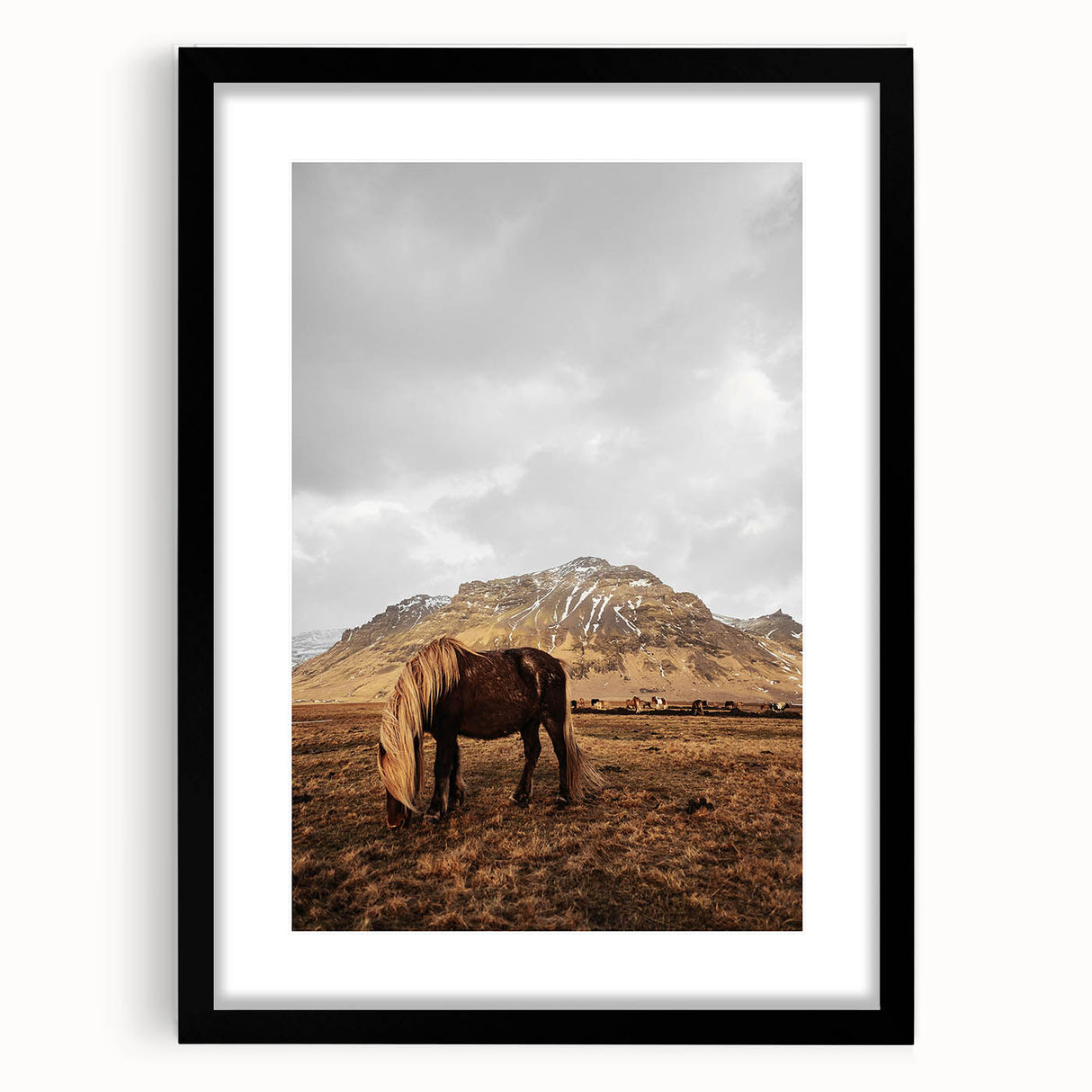 Rustic Wall Art - Wild Horse in Mountain Landscape for Farmhouse Decor