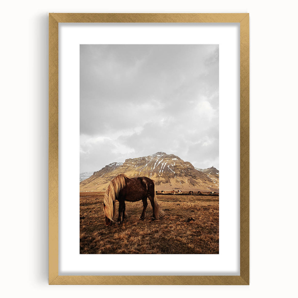 Rustic Wall Art - Wild Horse in Mountain Landscape for Farmhouse Decor