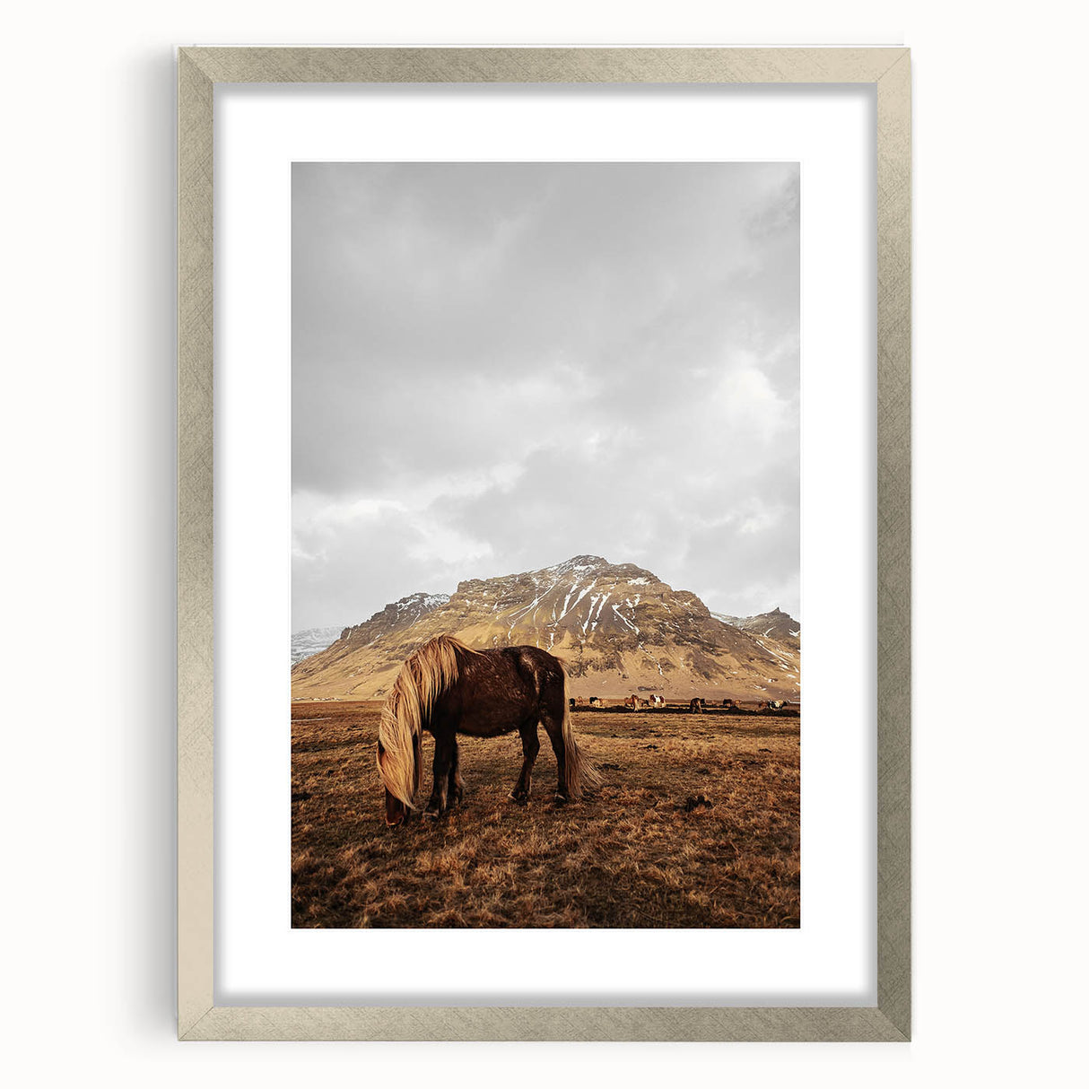 Rustic Wall Art - Wild Horse in Mountain Landscape for Farmhouse Decor