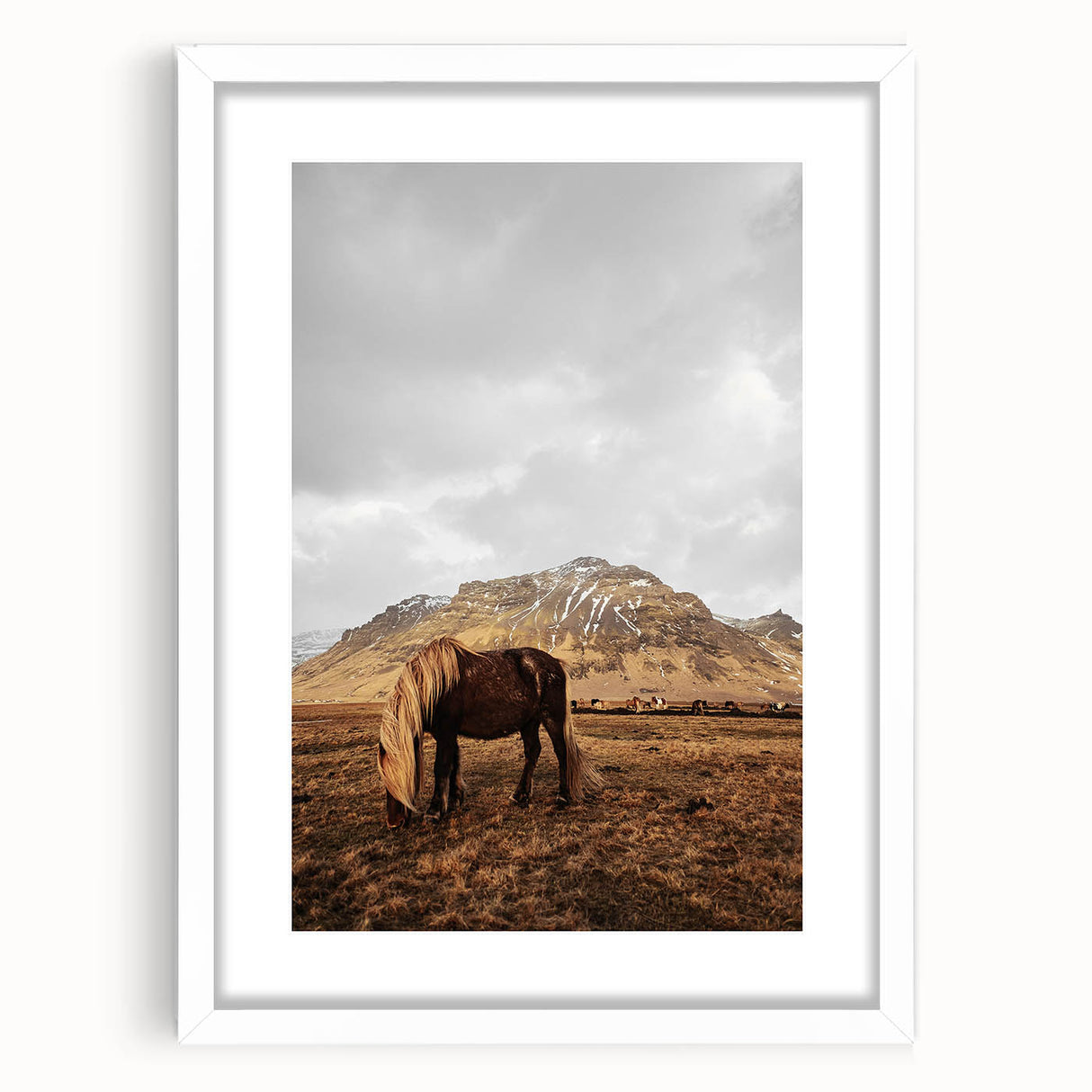 Rustic Wall Art - Wild Horse in Mountain Landscape for Farmhouse Decor