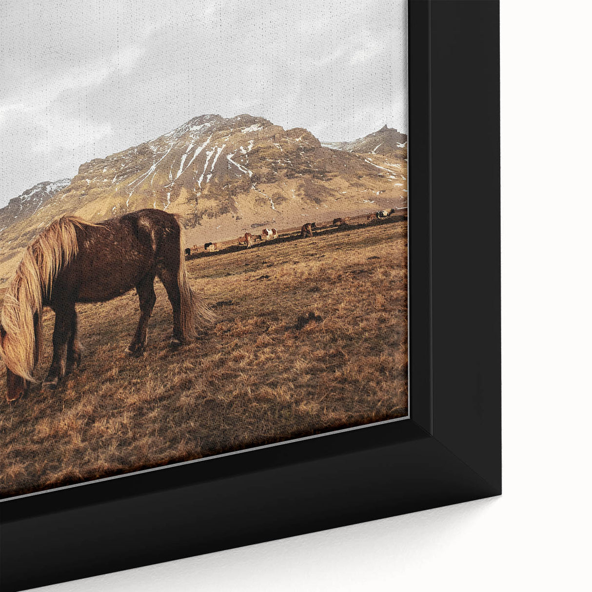Rustic Wall Art - Wild Horse in Mountain Landscape for Farmhouse Decor
