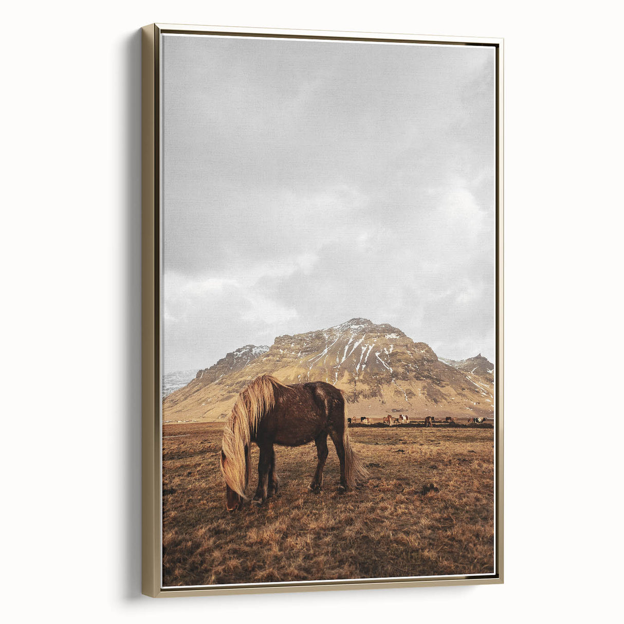 Rustic Wall Art - Wild Horse in Mountain Landscape for Farmhouse Decor