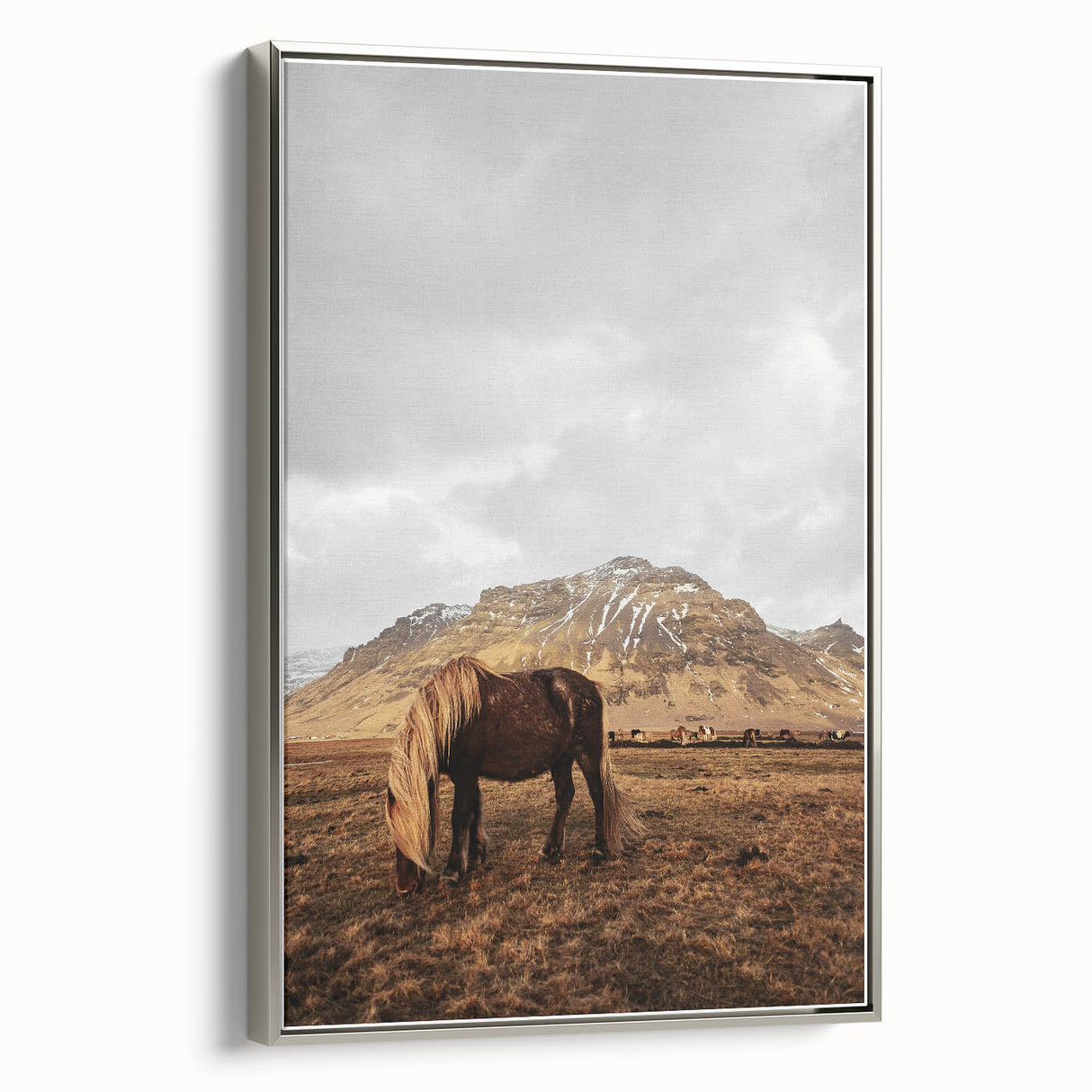 Rustic Wall Art - Wild Horse in Mountain Landscape for Farmhouse Decor
