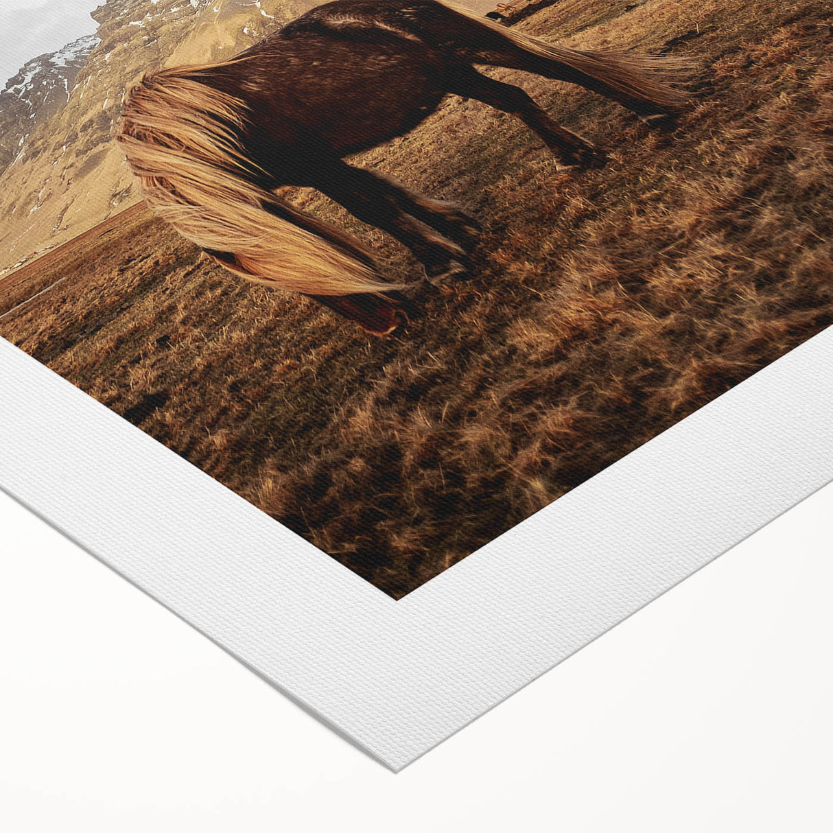 Rustic Wall Art - Wild Horse in Mountain Landscape for Farmhouse Decor