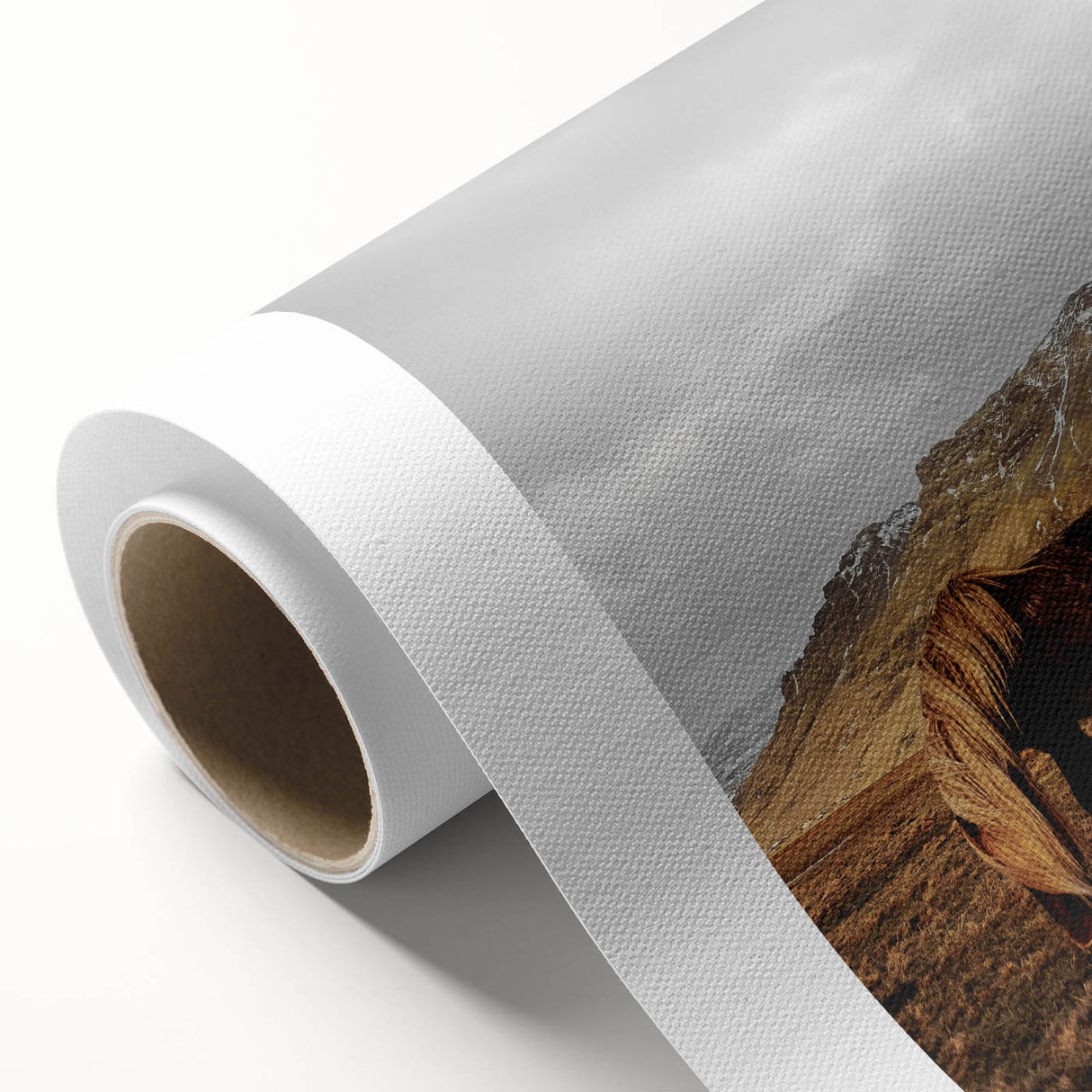 Rustic Wall Art - Wild Horse in Mountain Landscape for Farmhouse Decor